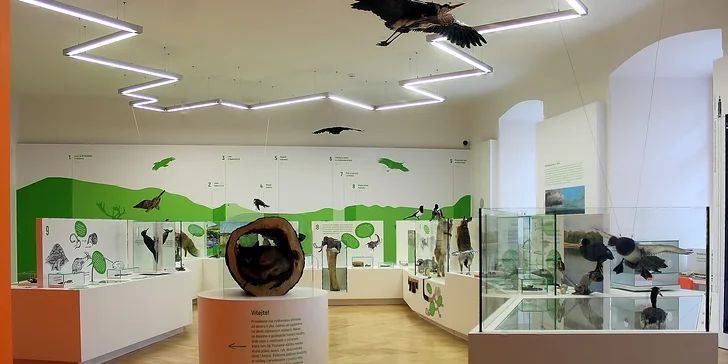 Jednotlivé či rodinné vstupenky na stálé expozice Muzea Vyškovska