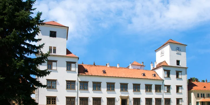 Jednotlivá či rodinná vstupenka na stálou expozici Muzea Bučovice na zámku Bučovice