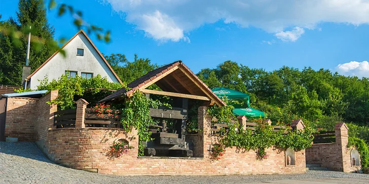 Pobyt v rodinném vinařství s polopenzí, vínem nebo i neomezenou konzumací nápojů