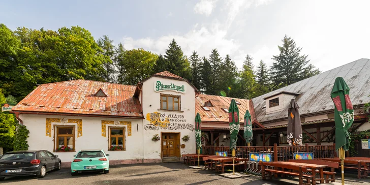 Kachna se zelím a knedlíky pro 2, možno i s polévkou a dezertem