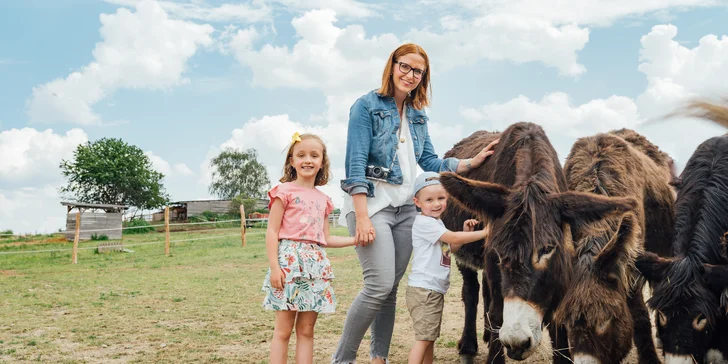 Rodinná návštěva Oslí stezky: prohlídka farmy, výlet nebo i túra s piknikem