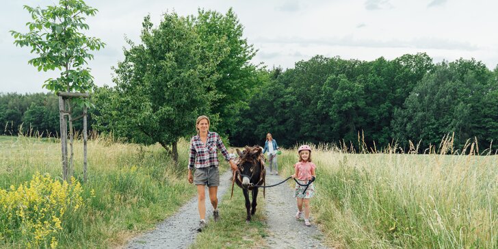 Rodinná návštěva Oslí stezky: prohlídka farmy, výlet nebo i túra s piknikem