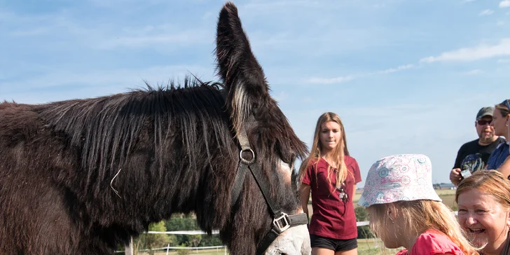 Rodinná návštěva Oslí stezky: prohlídka farmy, výlet nebo i túra s piknikem