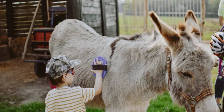 Rodinná návštěva Oslí stezky: prohlídka farmy, výlet nebo i túra s piknikem