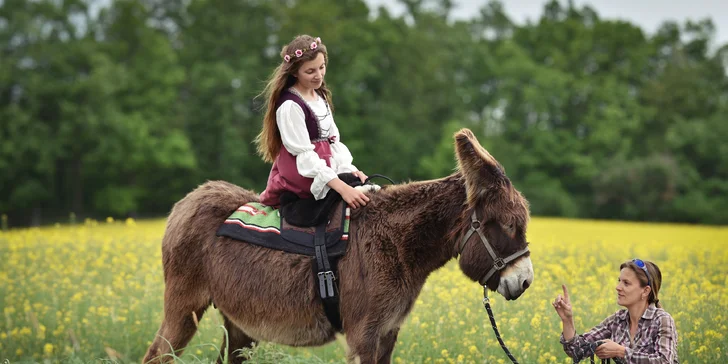 Rodinná návštěva Oslí stezky: prohlídka farmy, výlet nebo i túra s piknikem