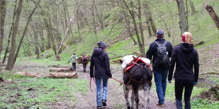 Rodinná návštěva Oslí stezky: prohlídka farmy, výlet nebo i túra s piknikem