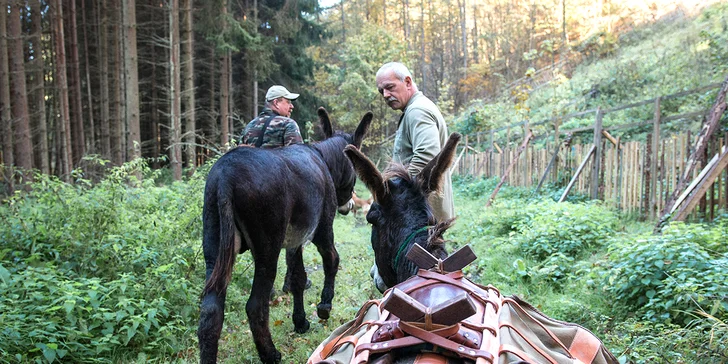 Rodinná návštěva Oslí stezky: prohlídka farmy, výlet nebo i túra s piknikem