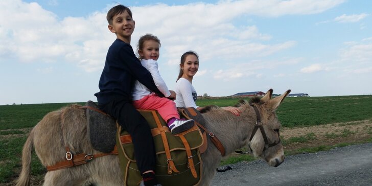 Nevšední rodinný výlet na Oslí stezku: projížďka na oslíku a mnohé další