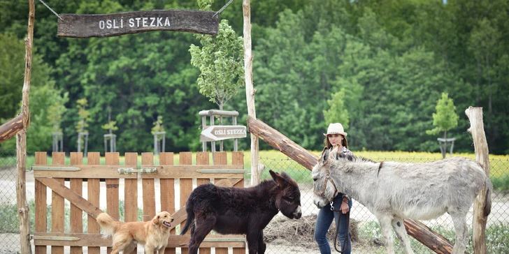 Rodinná návštěva Oslí stezky: prohlídka farmy, výlet nebo i túra s piknikem