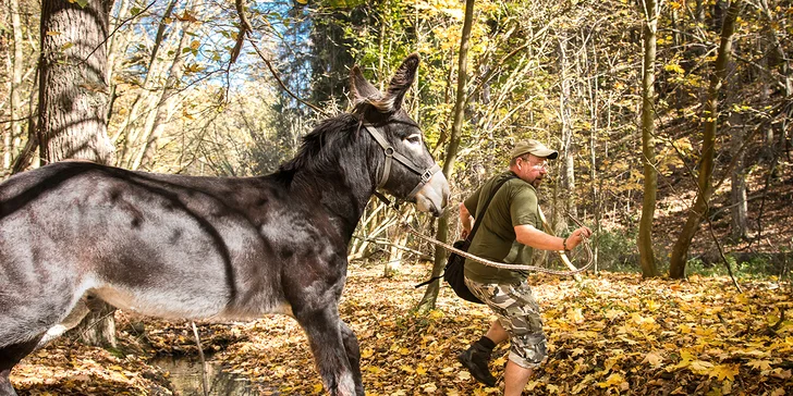 Nevšední rodinný výlet na Oslí stezku