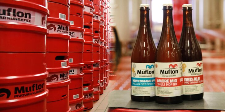 Exkurze do pivovaru Muflon pro 5–7 návštěvníků: hodinová prohlídka s výkladem, ochutnávka a piva na památku