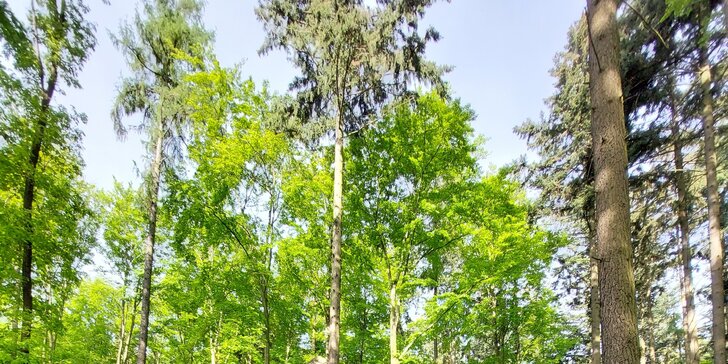 Klid a propojení s přírodou na Sojčím hnízdě: pobyt na vyhlídkovém posedu v lesích u Brna