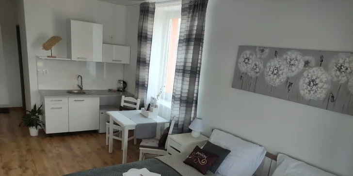 Pobyt u Frýdku-Místku až na 7 dní: pokoj s kuchyňkou, možnost wellness