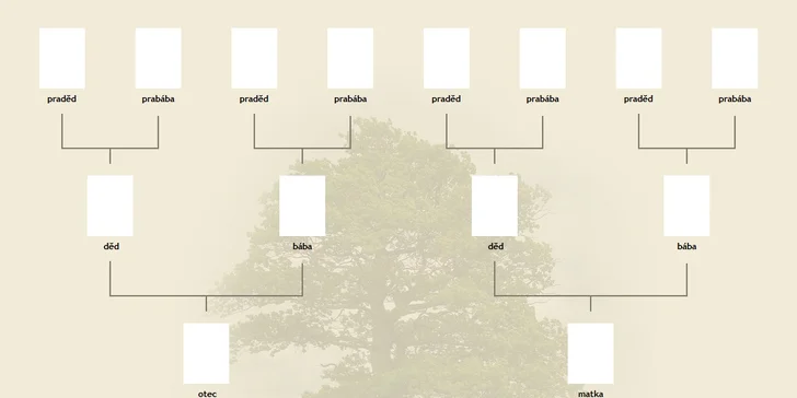 Poznejte své předky: vývod rodokmenu do 4.–5. generace v otcovské nebo v mateřské linii či v obou