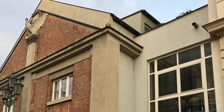 Naučte se svádět bez svlékání: 1 či 5 hodinových lekcí Dance Strip Plastic