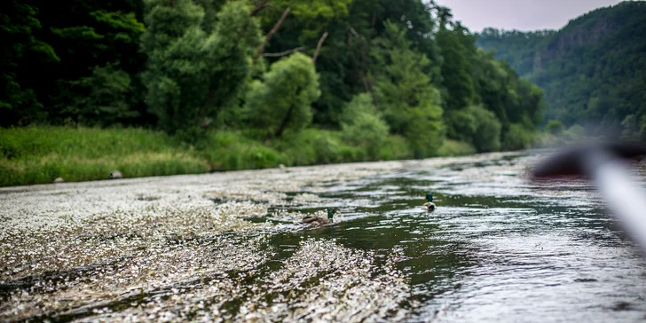 Pohoda na vodě: třídenní sjezd Berounky na kánoích nebo raftech až pro 6 vodáků