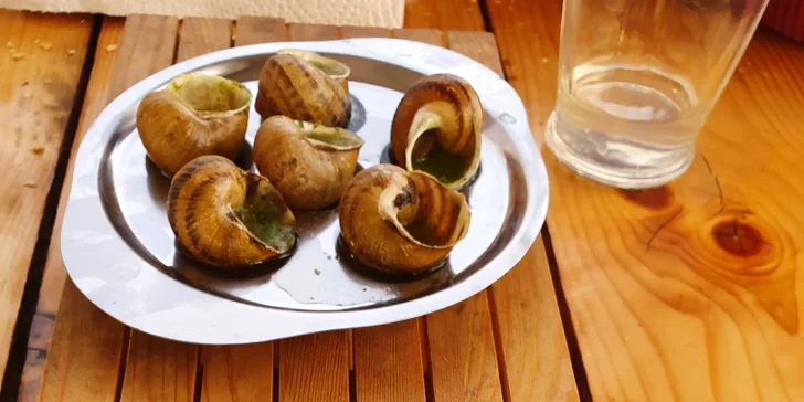 Degustační menu na šnečí farmě pro 2 osoby: grilovaní, uzení i wasabi šneci