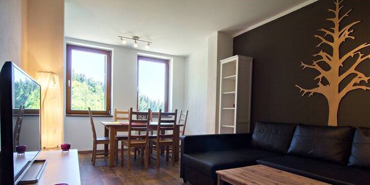 Pobyt v Krkonoších: 3–8 dní, apartmány Classic nebo De Luxe až pro 10 osob