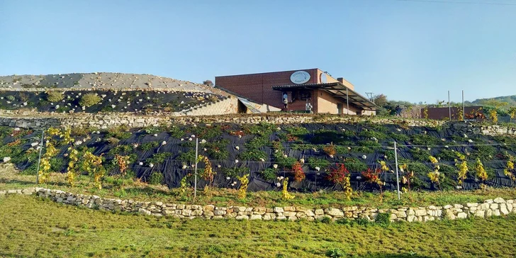 Za pohodou na jižní Moravu: vinařský penzion se snídaní, wellness i degustací
