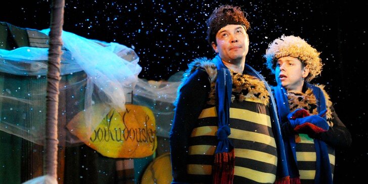 Vstupenka na pohádku Zimní příhody včelích medvídků v Divadle Image
