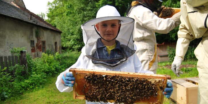 Exkurze na včelí farmě až pro 4 osoby: teoretická a praktická část i výroba svíček