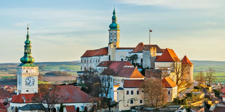 Pobyt u Pálavy pro 2–4 os.: jídlo, degustace nebo neomezená konzumace vín i vířivka