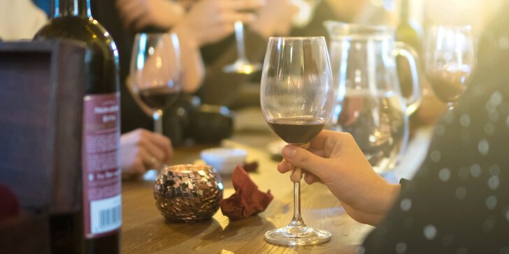 3denní pobyt s pravou moravskou večeří a degustací mladých vín z roku 2018