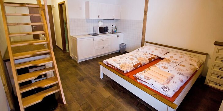 Pohoda v Dolní Lomné: apartmán pro rodinu, možnost jídla a wellness