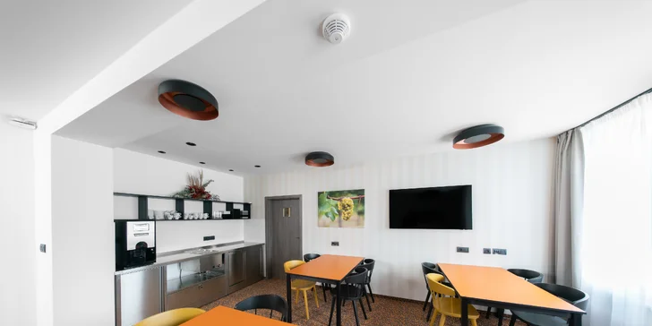 Degustace vína pro 1 nebo 2 osoby: 2 termíny, 12 vzorků vína i studený raut ve formě tapas