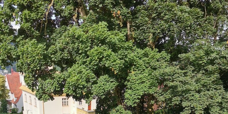 Pobyt v penzionu na okraji Karlových Varů: klidné místo u lesa, zahrada s grilem, úschovna kol
