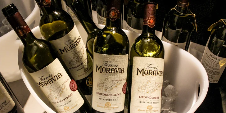 Degustace vína pro 1 nebo 2 osoby: 2 termíny, 12 vzorků vína i studený raut ve formě tapas