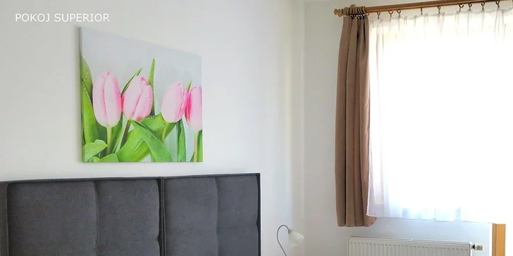 Pobyt v centru Uherského Brodu: dvoulůžkový pokoj nebo apartmán a snídaně