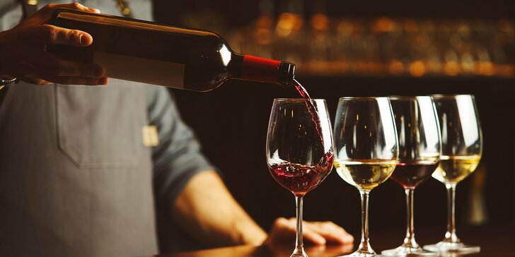 Potěšení pro chuťové buňky: sklenka vína a francouzská terina pro dva nebo řízená degustace