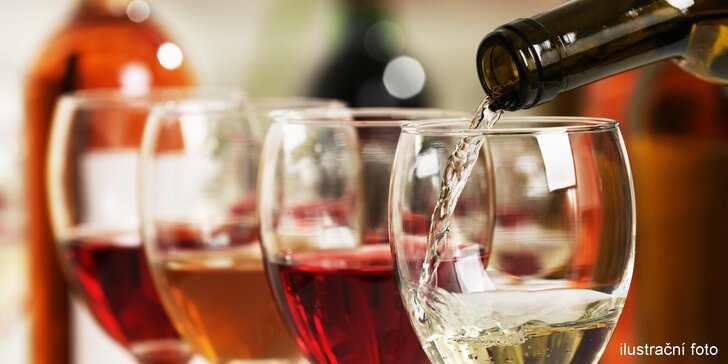Láhev vína podle výběru, olivy a slané pochutiny kousek od centra Brna