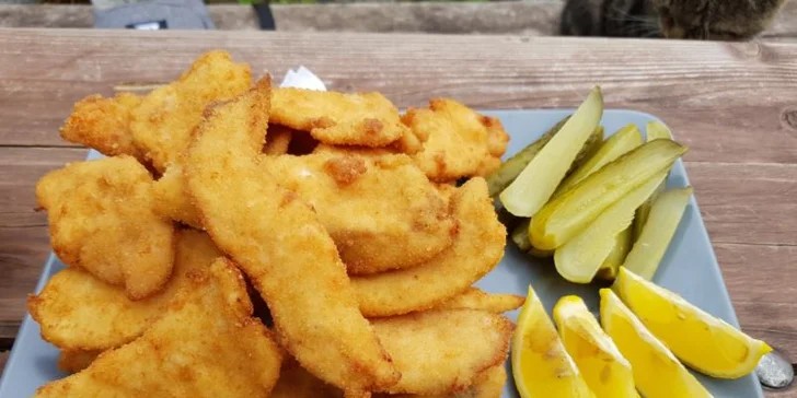1 nebo 2 kg šťavnatých řízků podle chuti: kuřecí, vepřové nebo mix v restauraci Pod Jasanem