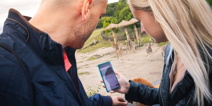 Zachraňte zvířata před potopou: venkovní hra v pražské zoo