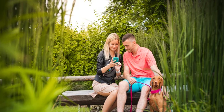 Zachraňte zvířata před potopou: venkovní hra v pražské zoo