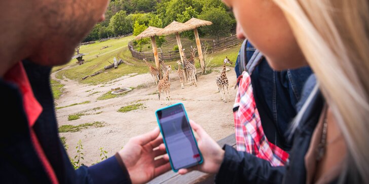 Za lachtany přes celý svět v Zoo Lešná: venkovní hra až pro 6 osob