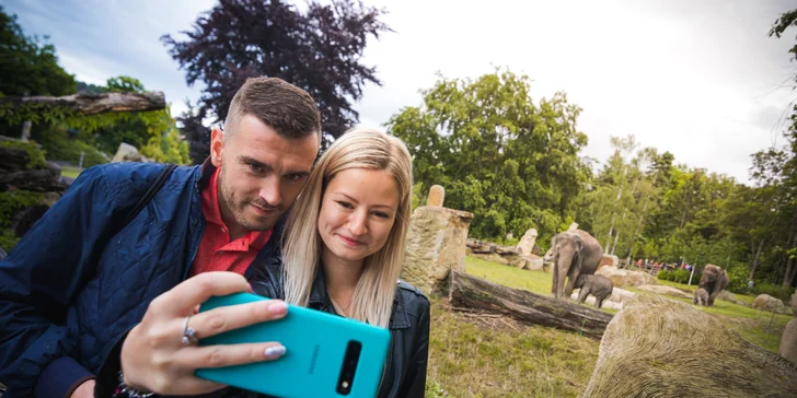 Za lachtany přes celý svět v Zoo Lešná: venkovní hra až pro 6 osob