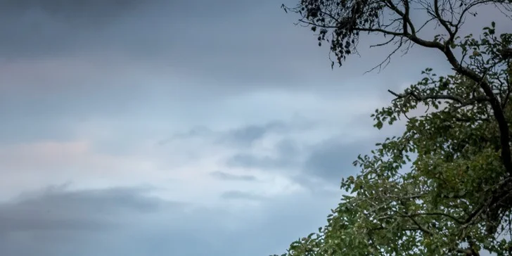Zážitek s vycvičenými koňmi pro děti a dospělé: vyjížďka i základy péče vč. fota z jízdy