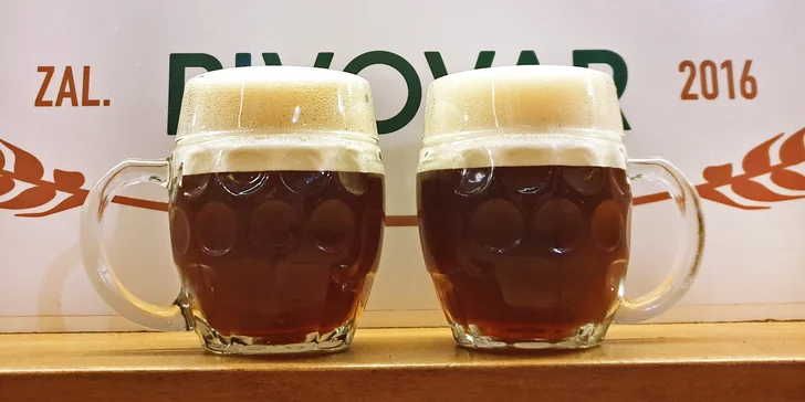 Prohlídka Heřmanického pivovaru s degustací mladých piv pro 1 i 2 osoby