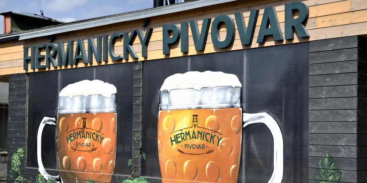 Prohlídka Heřmanického pivovaru s degustací mladých piv i jídlem pro 1 i 2 osoby