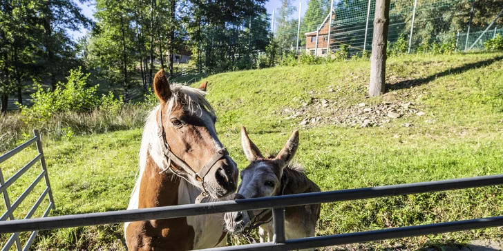 Relax v srdci Beskyd: polopenze, bio maso, velké vyžití v areálu i v okolí Pusteven