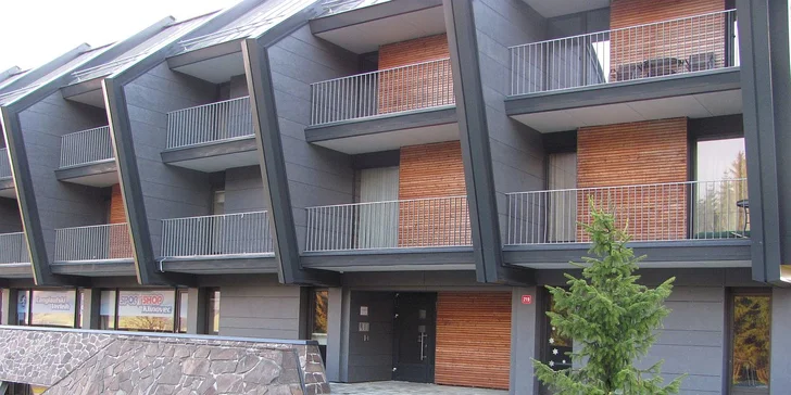 Pronájem apartmánů na Klínovci u lanovky Dámská: Výlety a sleva na aktivity