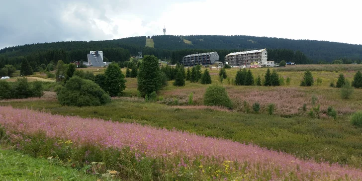 Pronájem apartmánů na Klínovci u lanovky Dámská: Výlety a sleva na aktivity