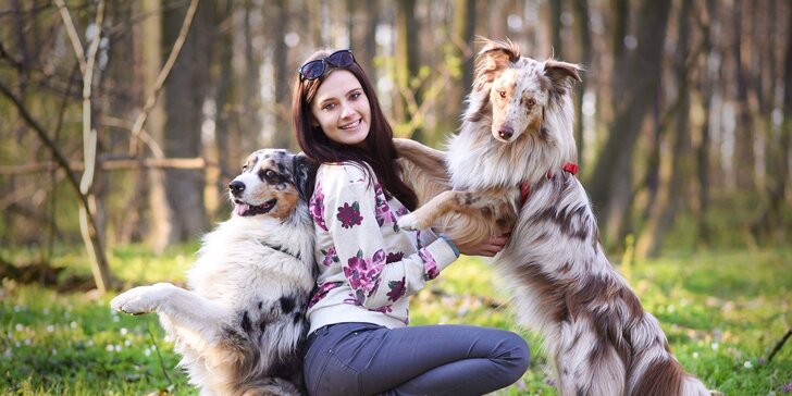 Vychovejte psa snadno z domova: online psí škola pro štěňata i dospělé psy