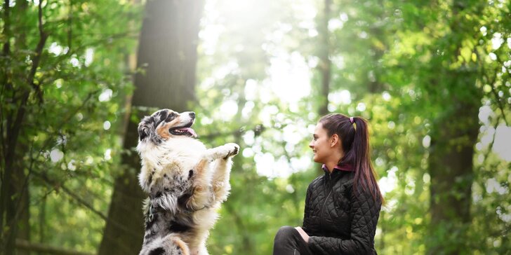 Porozumějte svému mazlíčkovi: online psí škola pro štěňata i dospělé psy