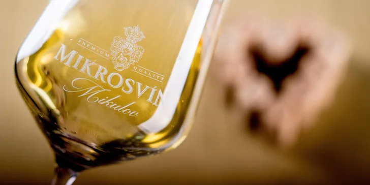 Degustace vína pro 1 nebo 2 osoby: 2 termíny, 12 vzorků vína i studený raut ve formě tapas