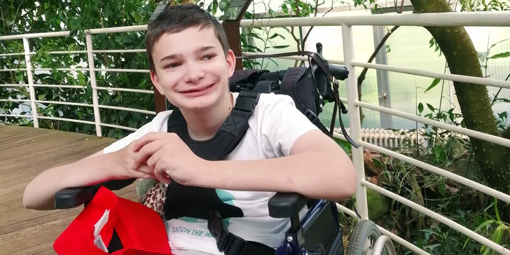 Dražba dobrých skutků: přihoďte na výcvik canisterapeutického psa, osobní asistenty i lepší život kuřat