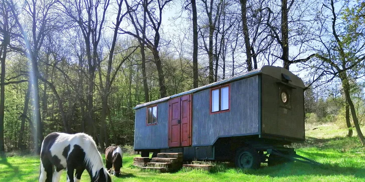 Pod hvězdnou oblohou: odpočinkový pobyt ve vybavené maringotce